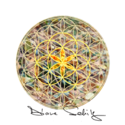 Photo de Diane Schilz