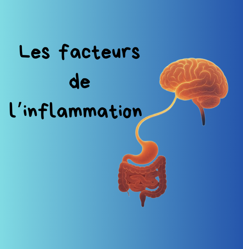 Qu'est-ce qui aggrave l'inflammation?